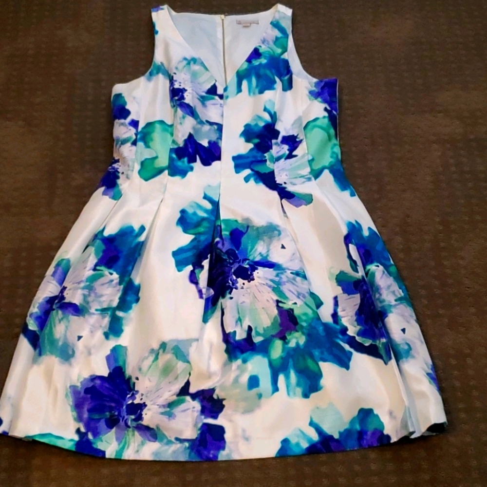 Dress Barn Fit and Flare Floral Dress 14